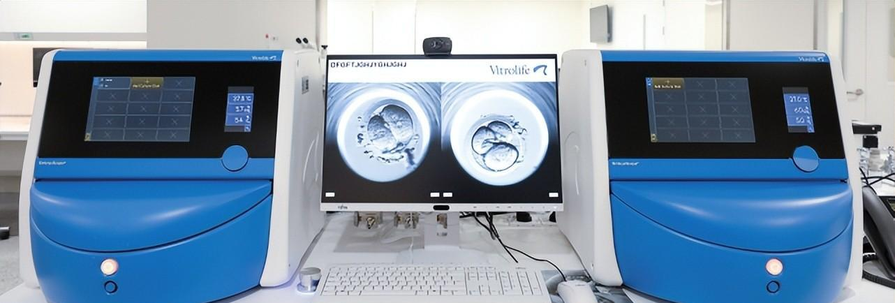 Time-Lapse动态监测系统