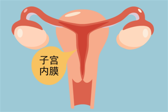 子宫内膜调理