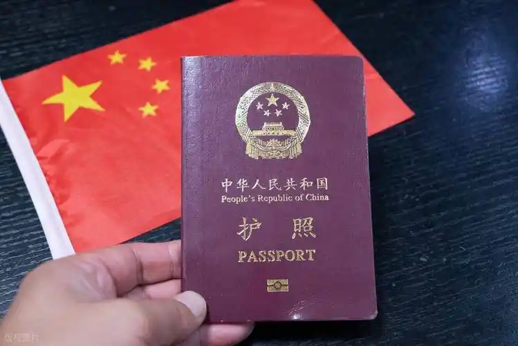 护照