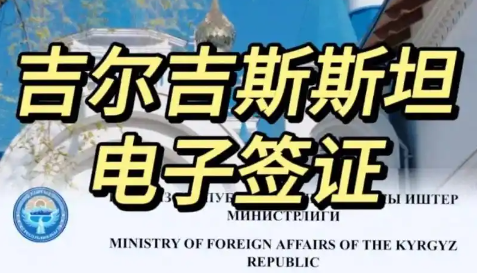 申请电子签证