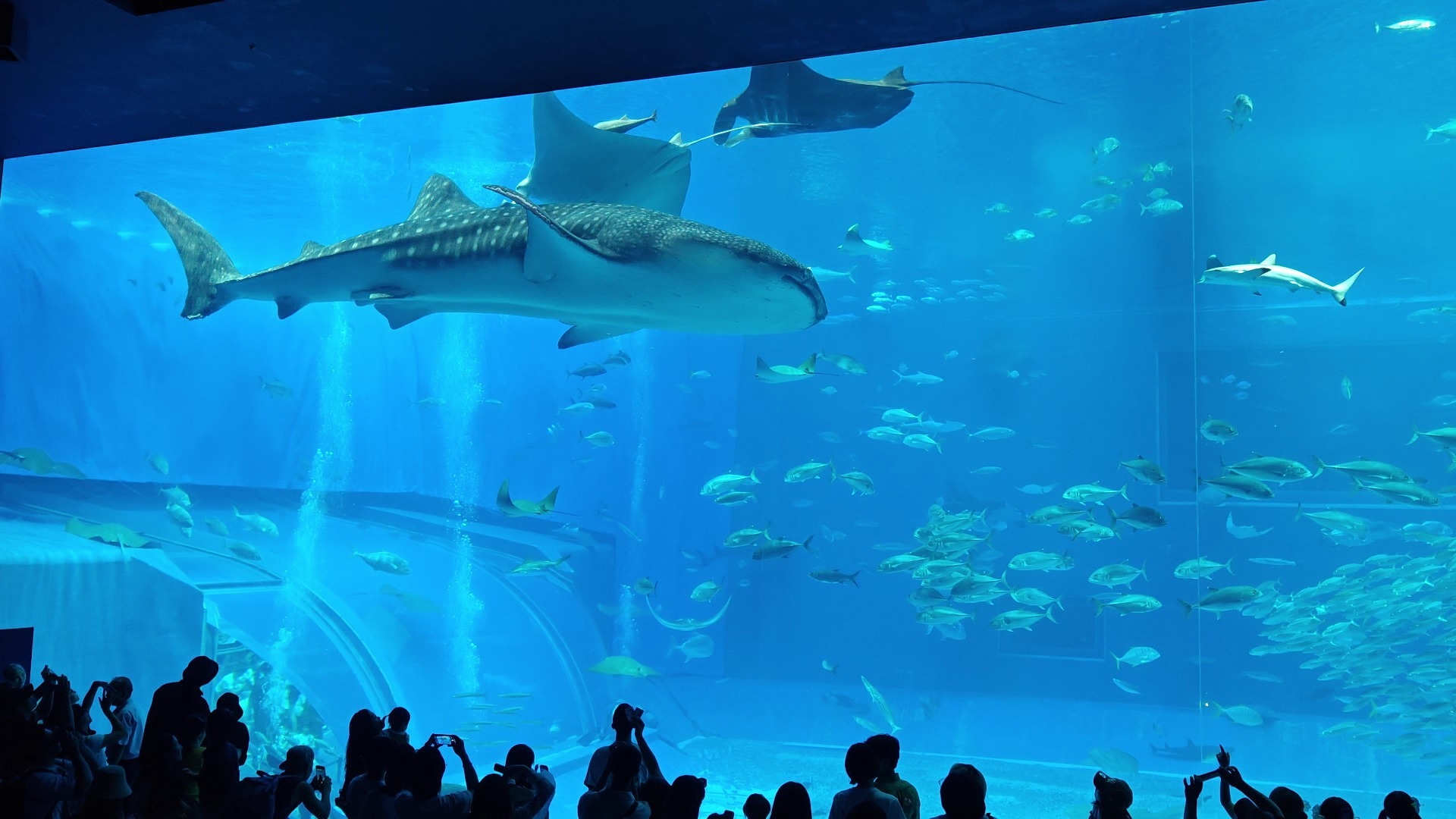 水族馆