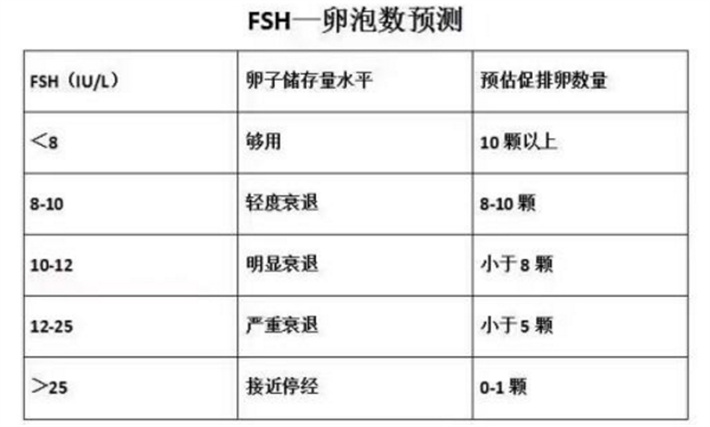 fsh卵泡预测