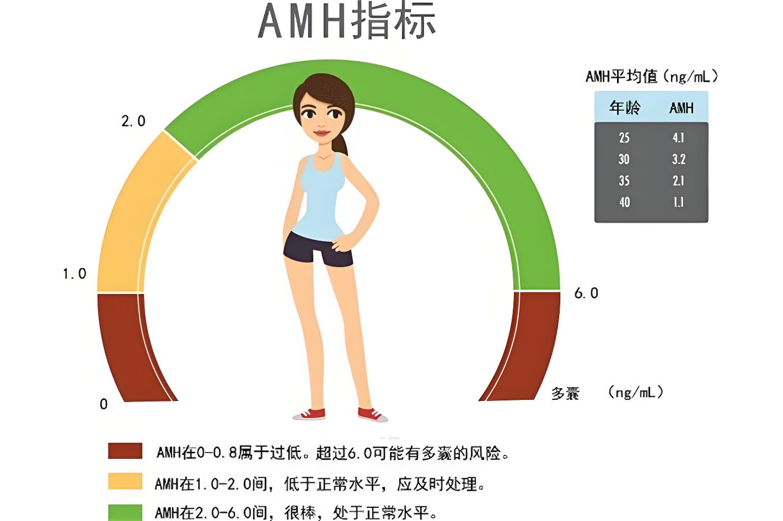AMH数值