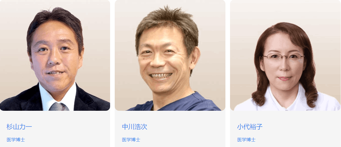 专家团队