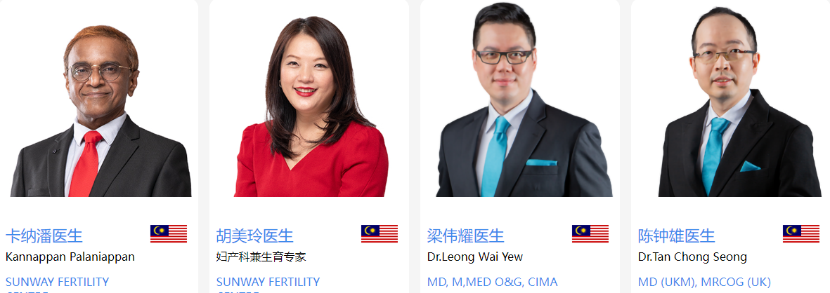 马来西亚试管专家