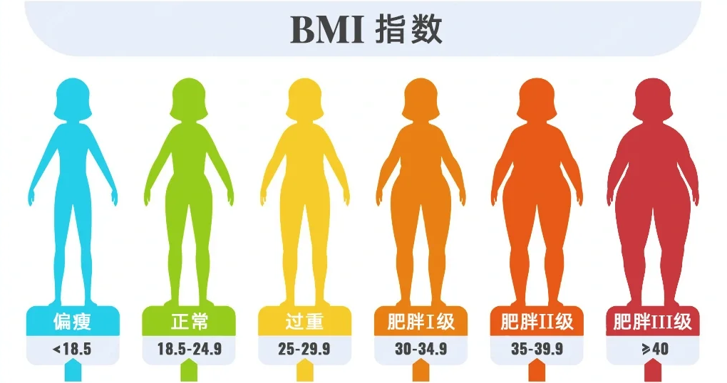 母体BMI指数