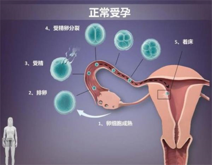 自然受孕