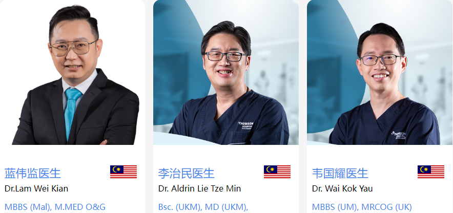 马来西亚专家