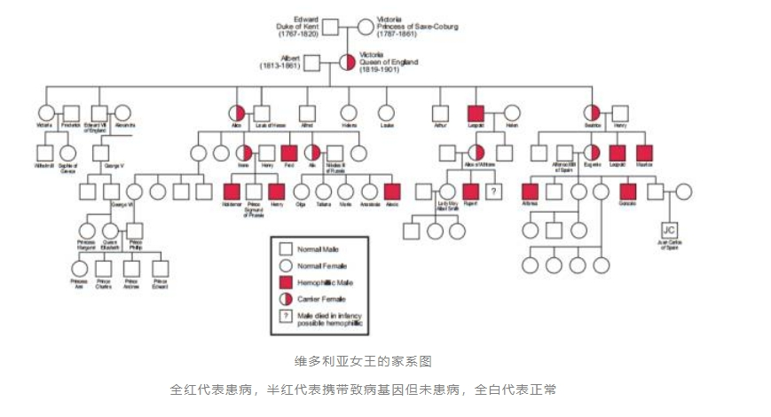 参考图片