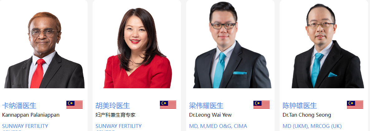 马来西亚试管专家