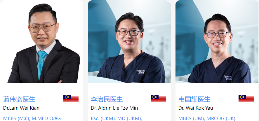 马来西亚试管专家