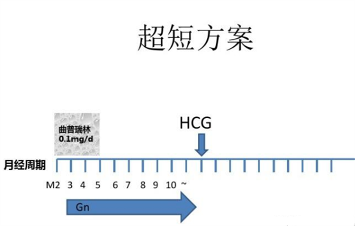 微促方案