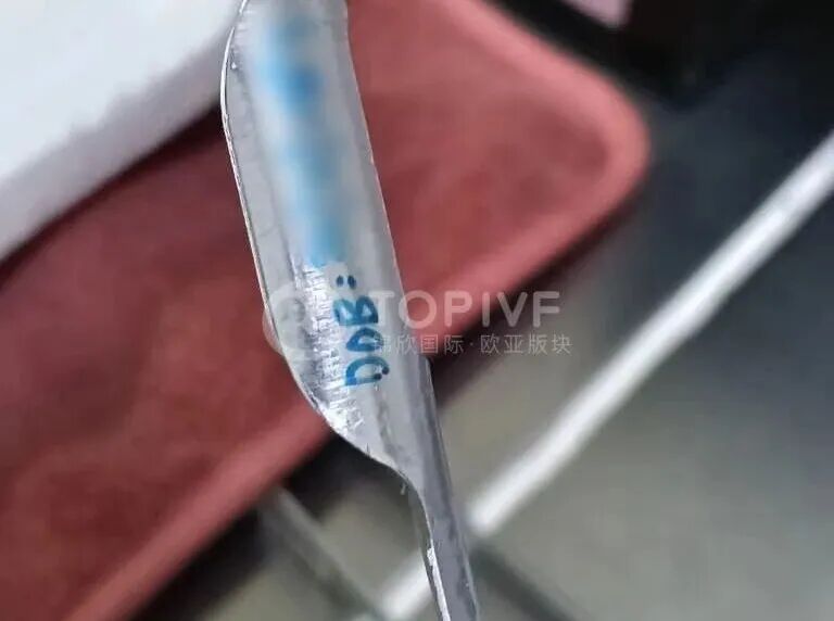 好孕喜报