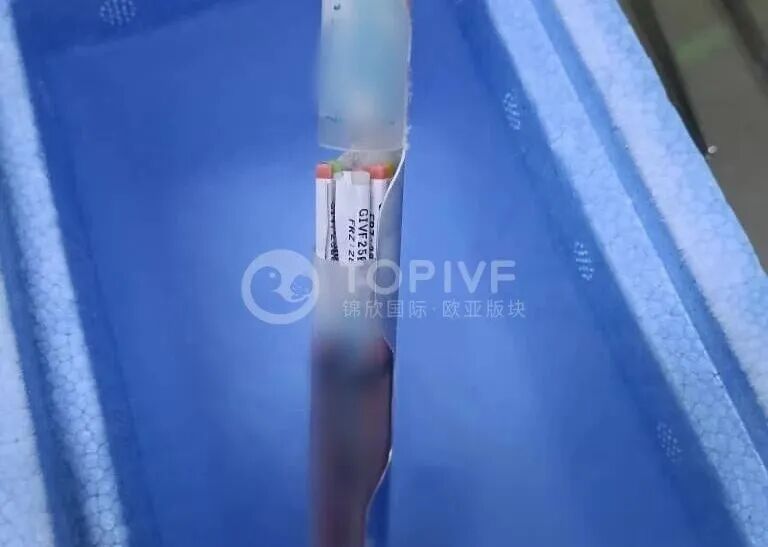好孕喜报