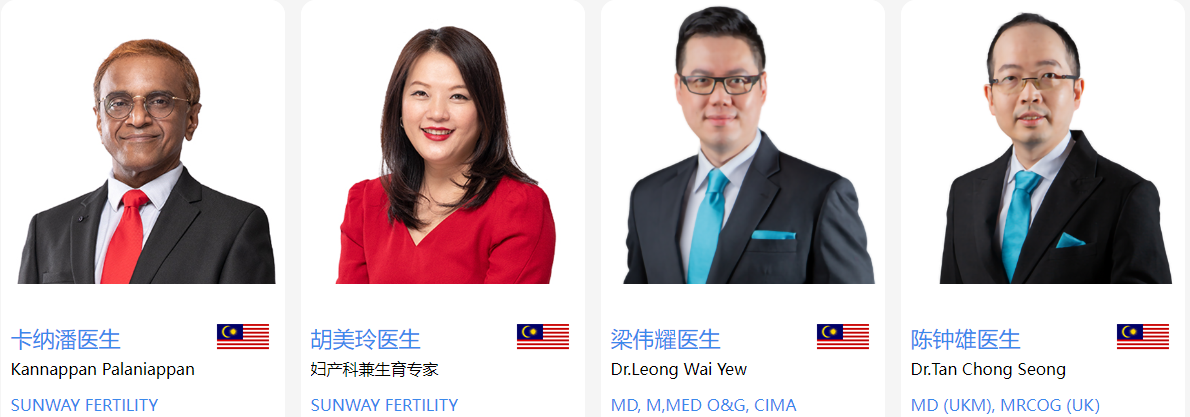 马来西亚试管专家
