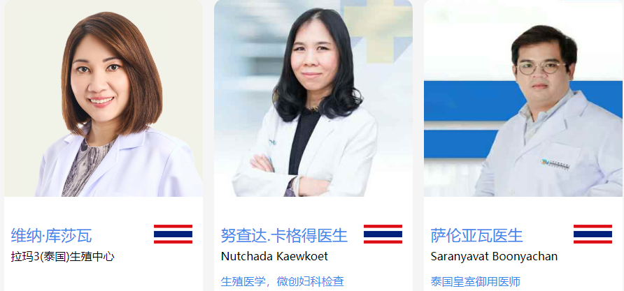 泰国专家