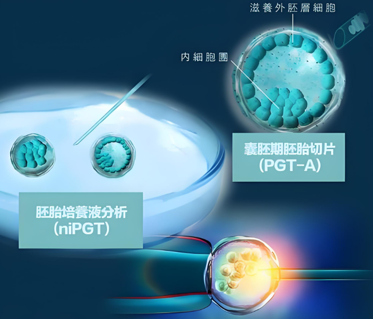 PGT技术.png